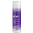 Joico Color Balance Purple Shampoo