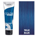 Joico Color Intensity True Blue 4oz