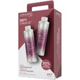 Joico Defy Damage Litre Duo