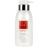 Biotop Professional 02 Eco Dandruff Shampoo